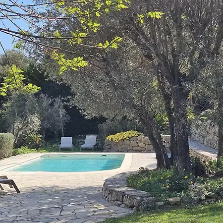 Sun * 사나리쉬르메르