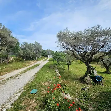 Sun 사나리쉬르메르